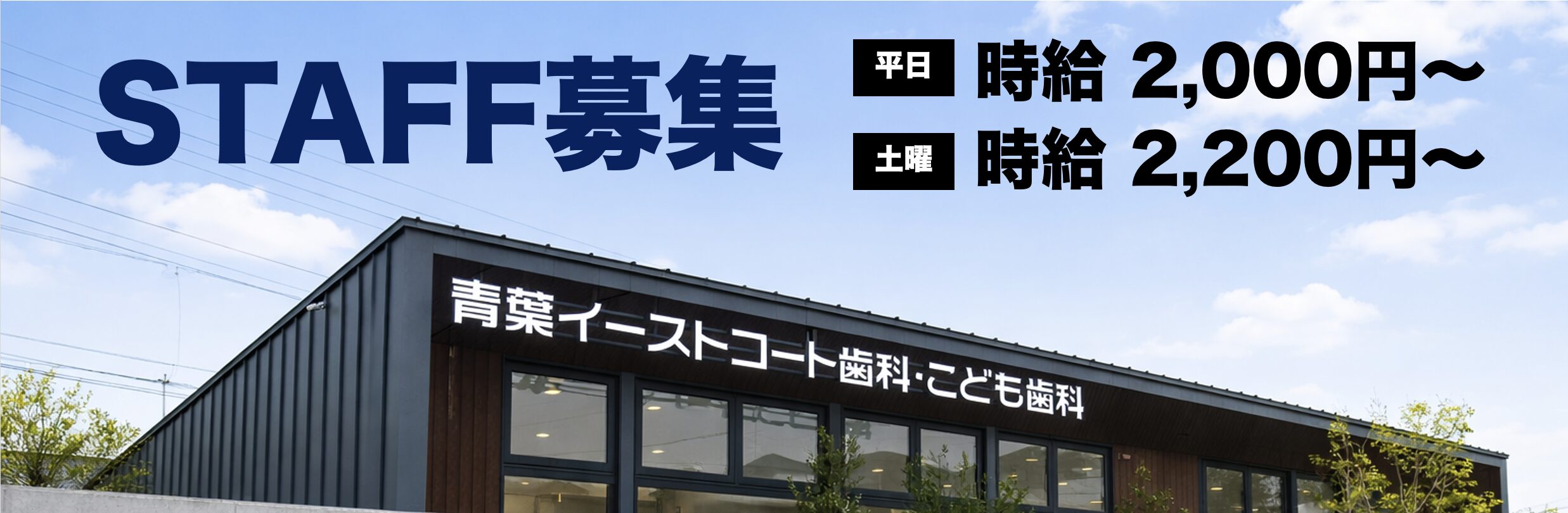 歯科衛生士の方へ